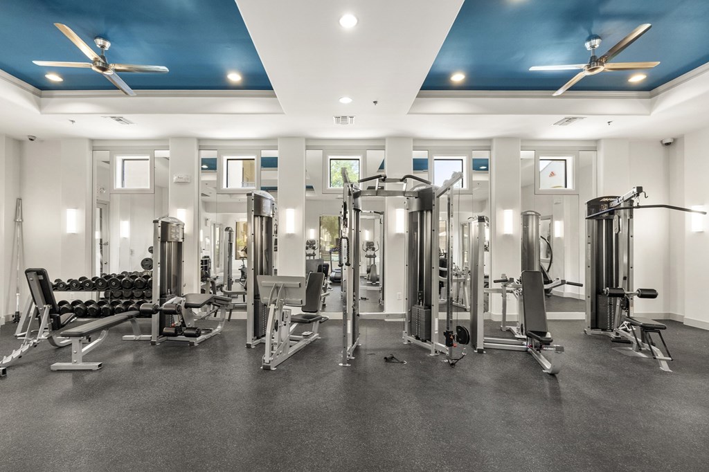 A spacious gym with a variety of equipment.