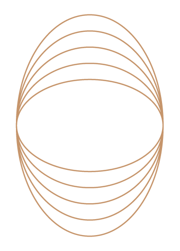 A graphic with the word FLORA in the center.