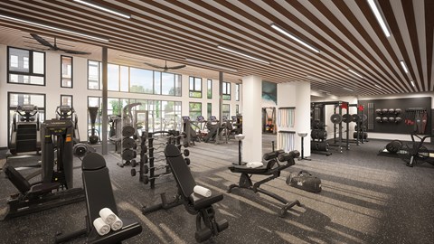 A gym with a variety of equipment including treadmills, weights, and exercise machines.
