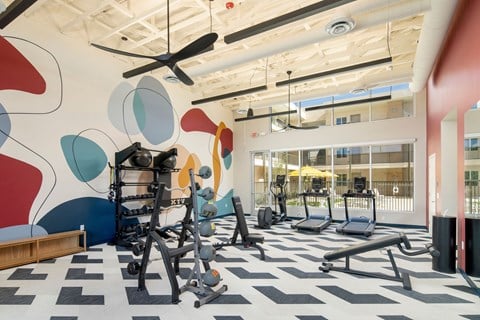 A gym with a variety of equipment including treadmills, weights, and a bench press.