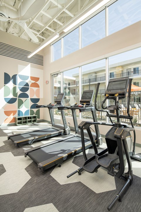 A gym with treadmills and elliptical machines.