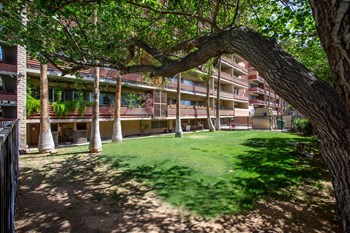 Grass Area at Redondo Tower Apartments in Tucson Arizona - Photo Gallery 33