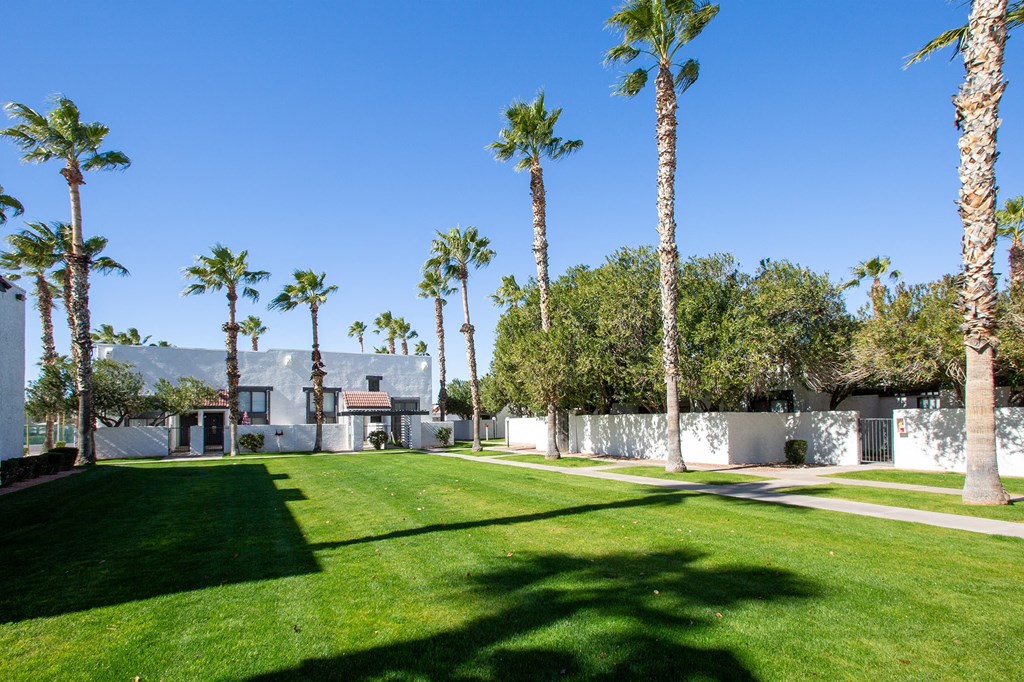 Grass Area at Townhomes on the Park in Phoenix Arizona 2023