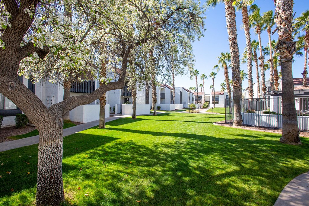 Grass Area at Townhomes on the Park in Phoenix Arizona