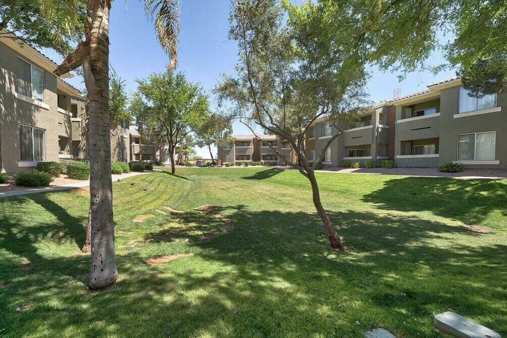 Grass Courtyard at Desert Sage Apartments in Goodyear Arizona