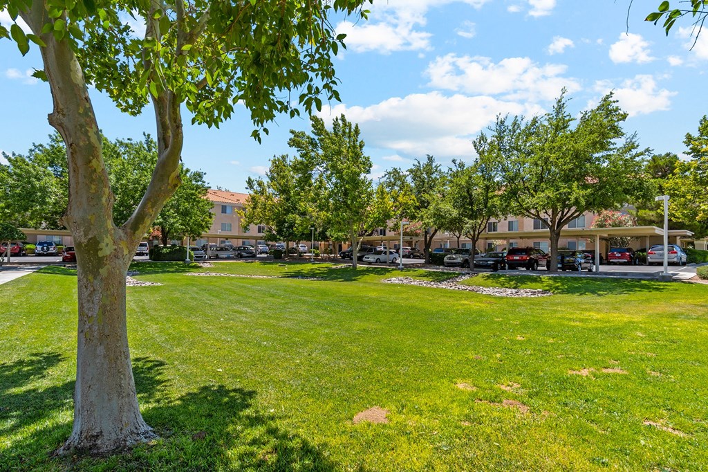 Grass Field at Somerset Village in Kingman Arizona
