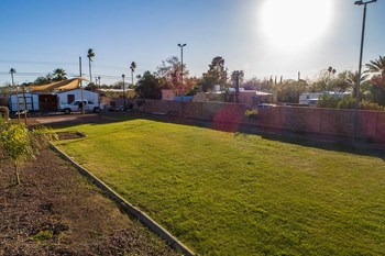 Grass Play Area of Metro Tucson Apartments - Photo Gallery 30