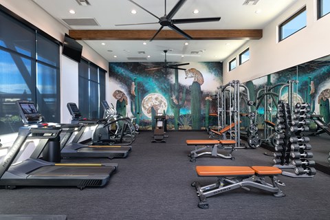 A gym with treadmills, weights, and exercise equipment.