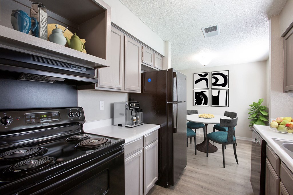Kitchen Appliances at The Villas at Quail Creek Apartment Homes in Austin Texas