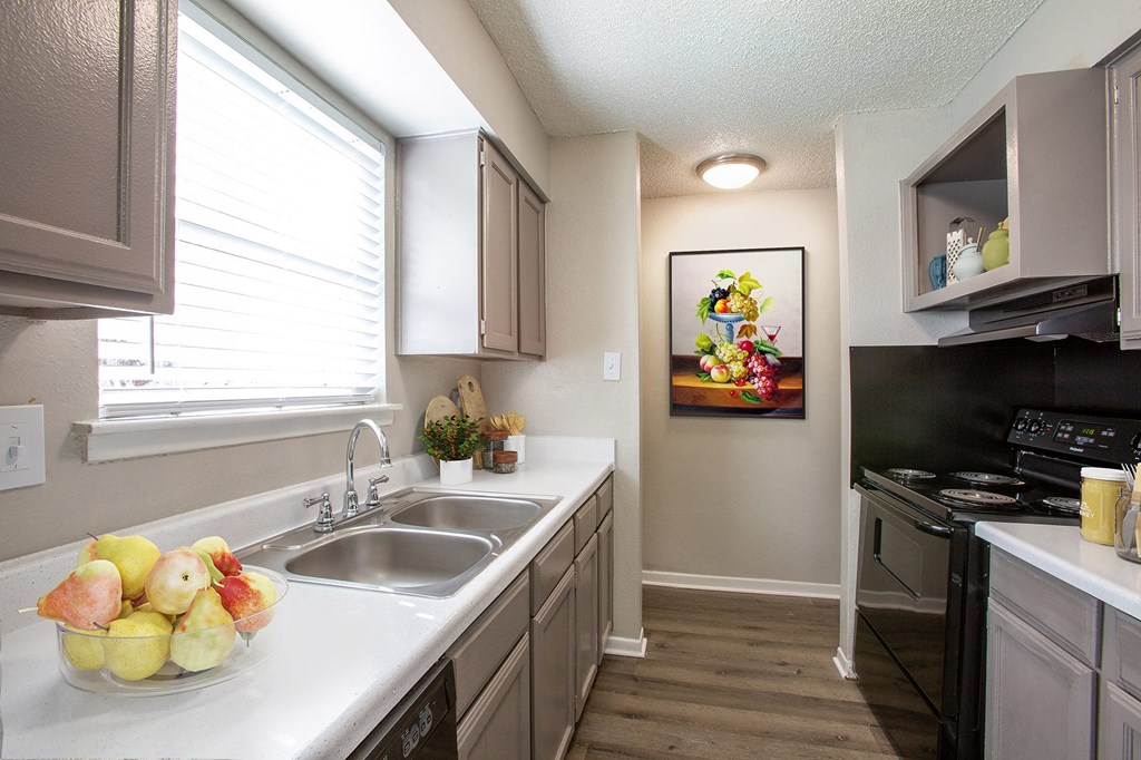 Kitchen with Dual Sink at The Villas at Quail Creek Apartment Homes in Austin Texas