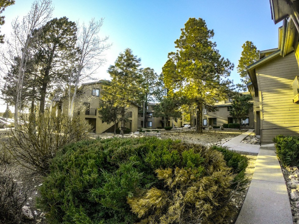 Landscape at University West Apartments in Flagstaff AZ 2021