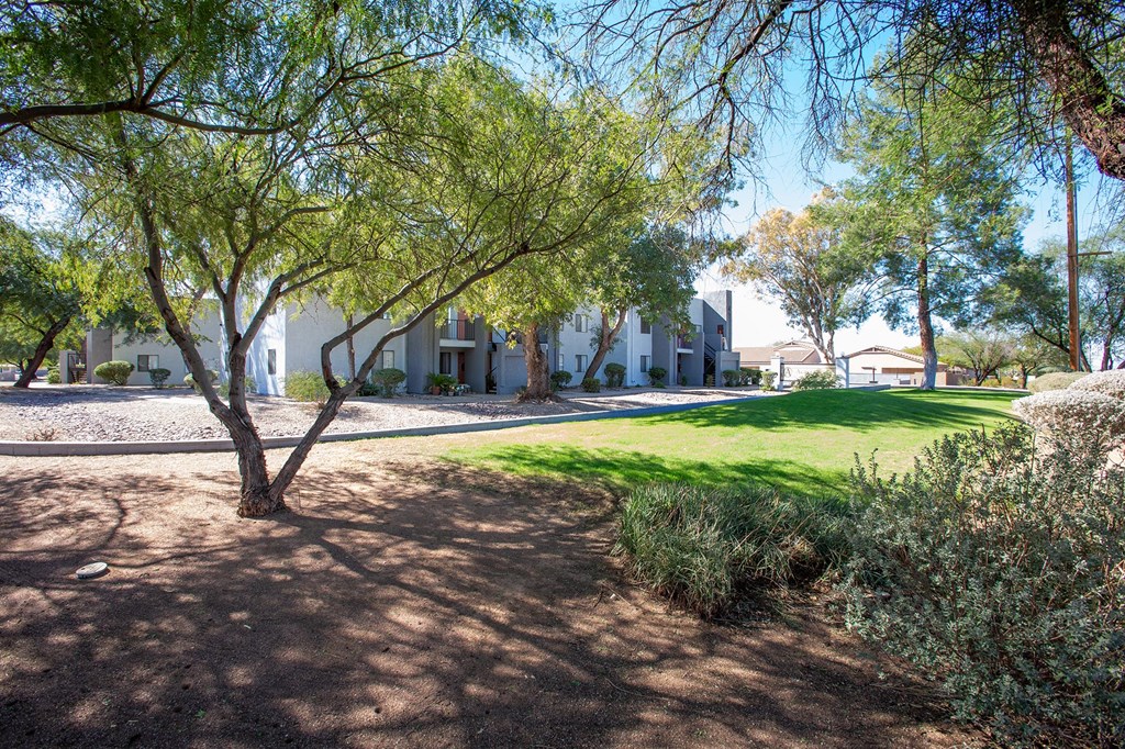 Landscaping at Acacia Hills Apartments in Tucson Arizona
