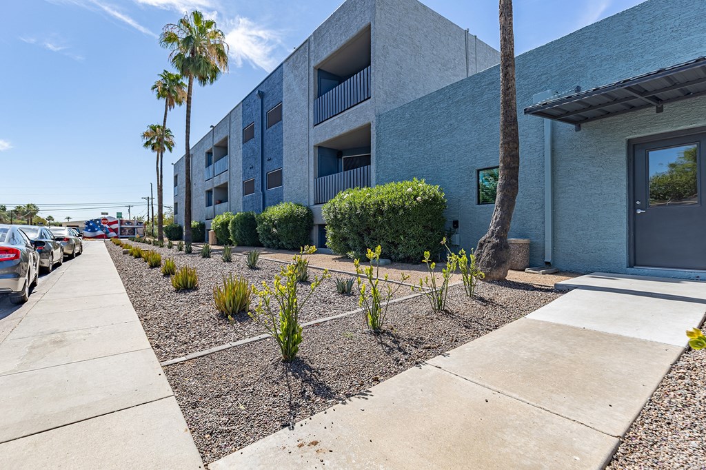Landscaping at Arcadia Lofts in Phoenix AZ Nov 2020