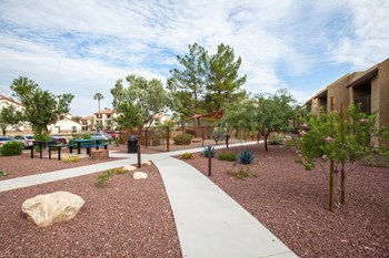 Landscaping at River Oaks Apartments in Tucson AZ - Photo Gallery 36