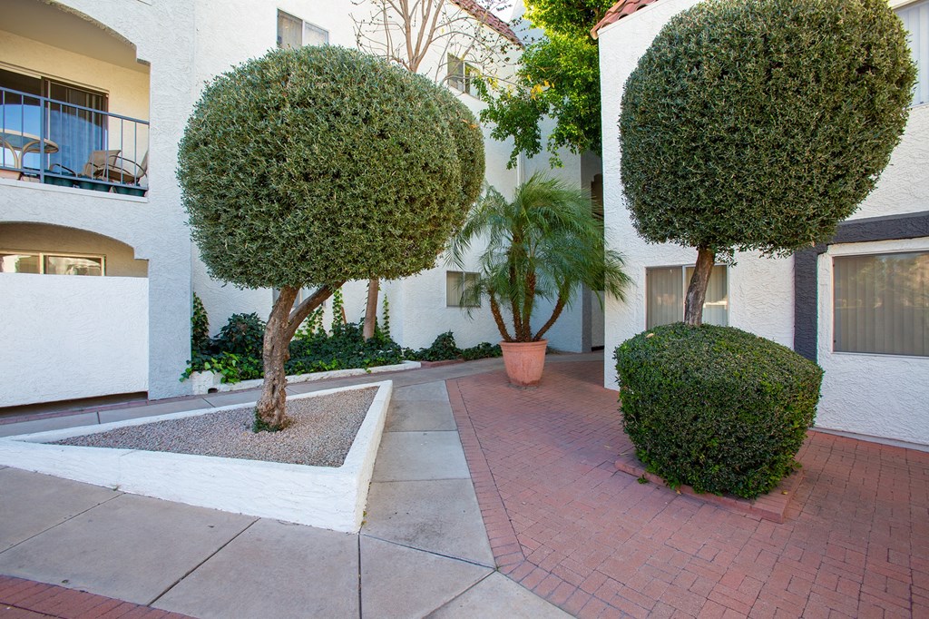 Landscaping at University Park Apartments