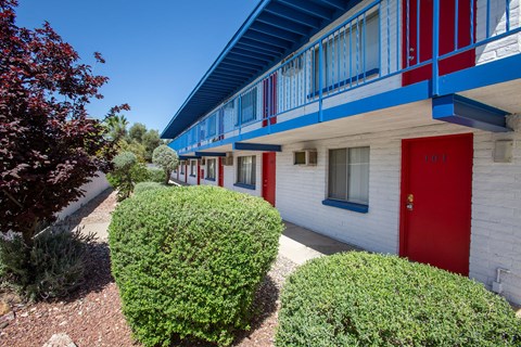 Landscaping at University Manor Apartments in Tucson Arizona 2023.jpg