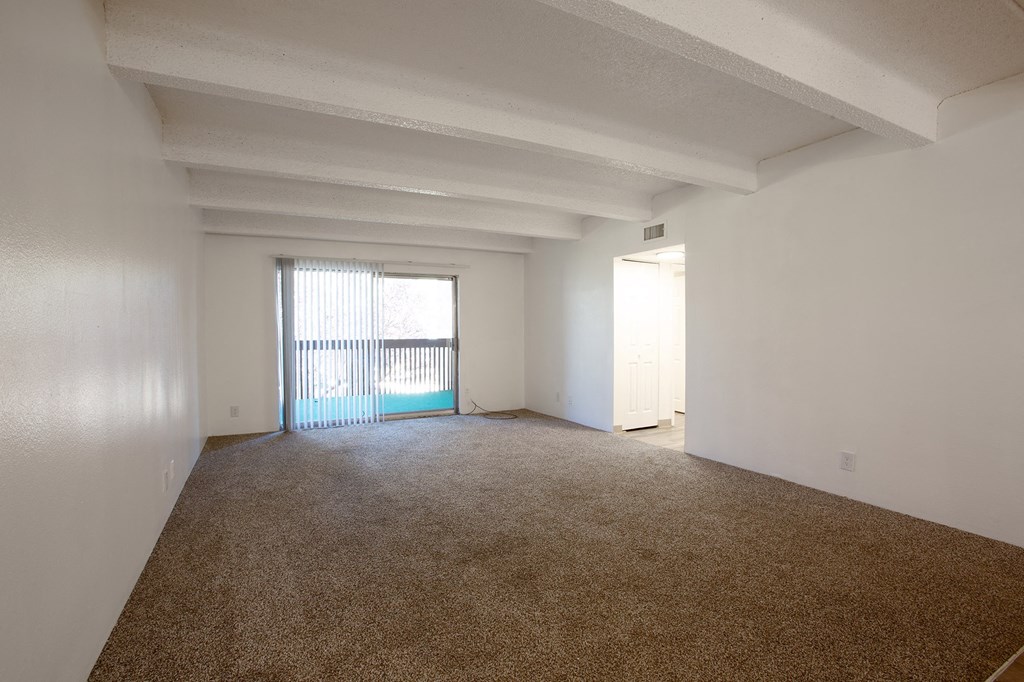 Living Room with Carpet at Los Altos Towers Apartments in Albuquerque NM