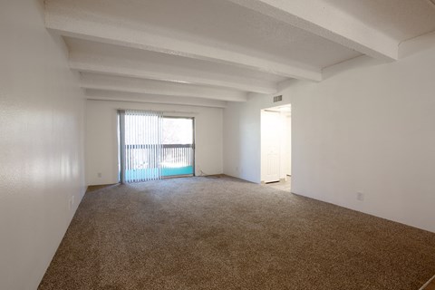 Living Room with Carpet at Los Altos Towers Apartments in Albuquerque NM
