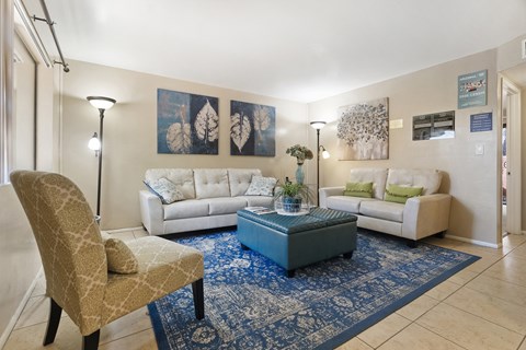 a living room with a blue rug and couches