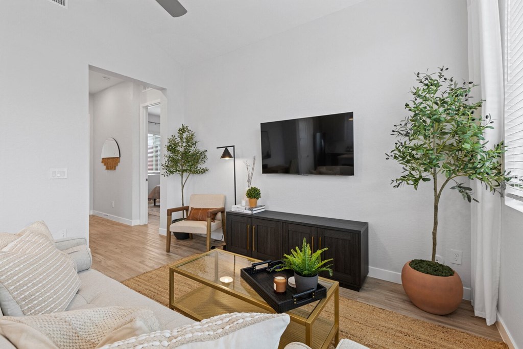 Livingroom Area at Village of Chandler in Chandler Arizona