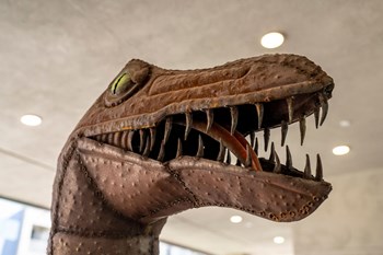 Local Sculptures at Parc Tolleson - Photo Gallery 23