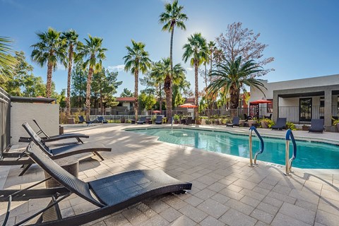 a swimming pool with chairs and palm trees