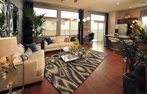 A living room with a rug, a couch, a coffee table, and a potted plant.