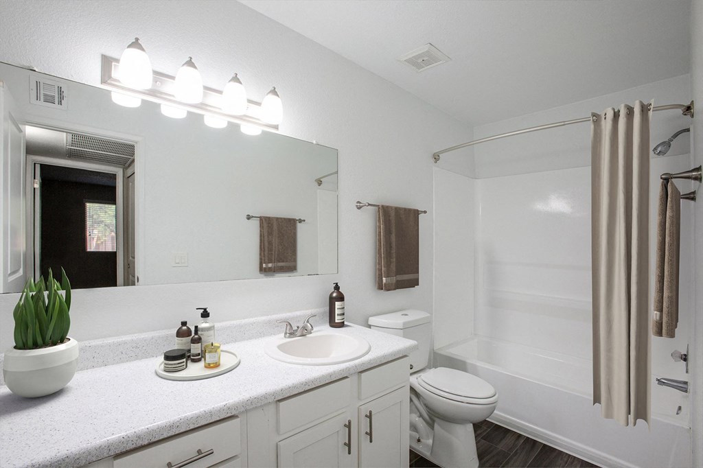One Bed 625sqft bathroom bathroom at River Oaks Apartment