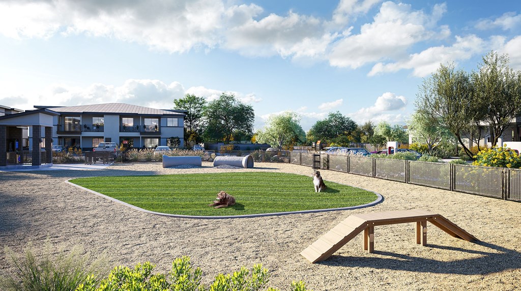 Pet Park with grass at Solstice Living Apartments in Tucson Arizona