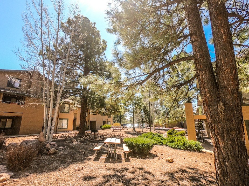 Picnic Area at University West Apartments in Flagstaff AZ 2021
