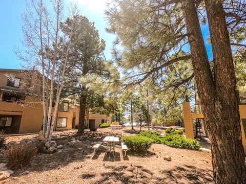 Picnic Area at University West Apartments in Flagstaff AZ 2021