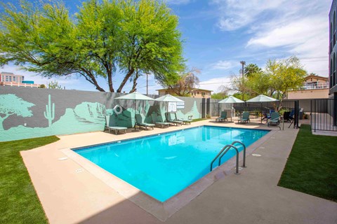 A large outdoor swimming pool surrounded by a concrete deck and a green tree.