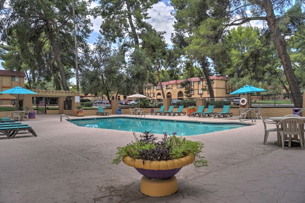 Pool & Pool Patio at The View At Catalina Apartments in Tucson, AZ