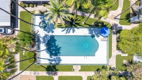 A swimming pool surrounded by palm trees and a white fence.