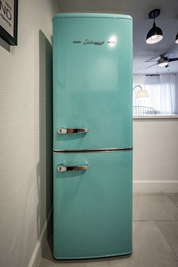 Refrigerator at Polanco Apartments - Photo Gallery 6