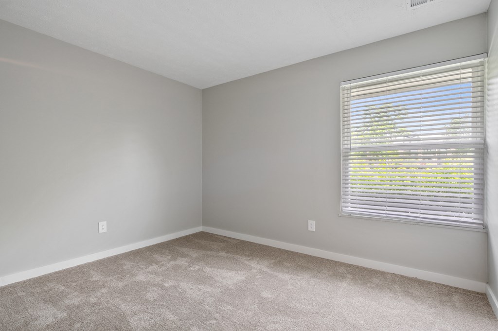 A room with a carpeted floor and a window with blinds.