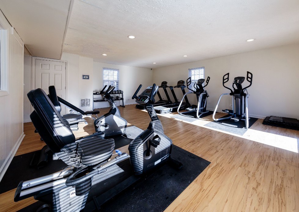 A home gym with a row of treadmills and elliptical machines.