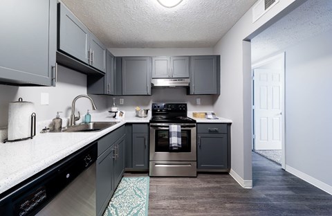 A kitchen with a black dishwasher and a black oven.