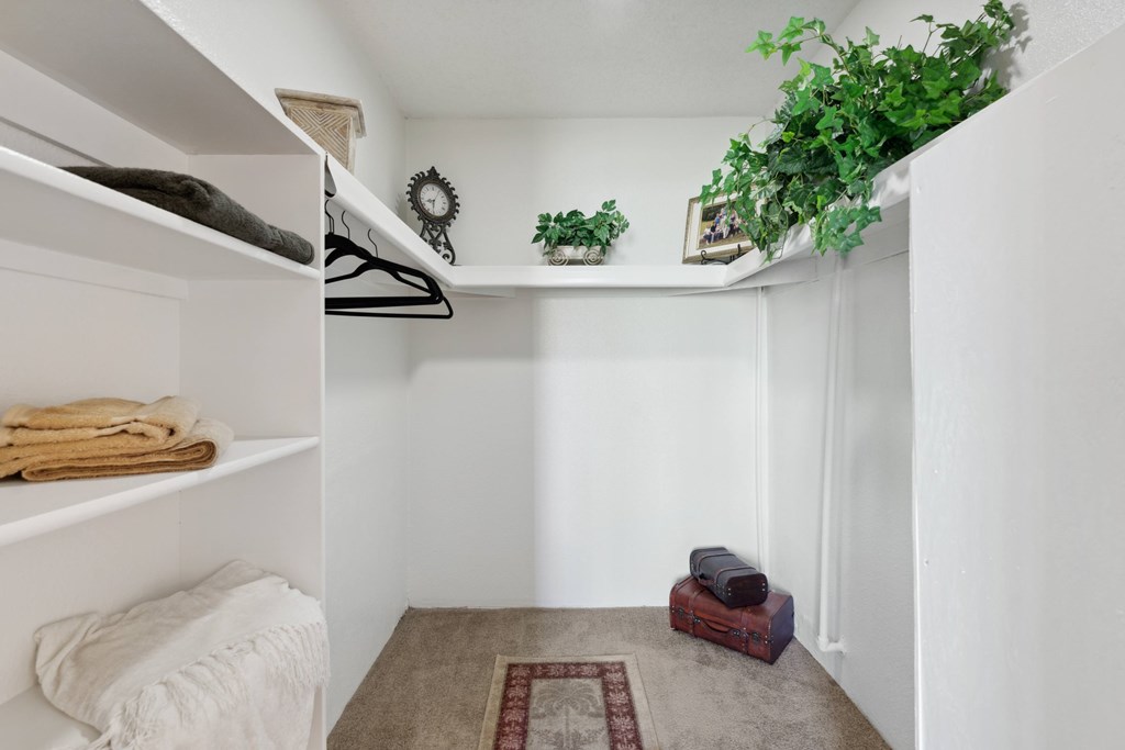 A small room with a hanging shelf and a rug on the floor.