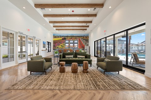 A living room with a rug and a couch.