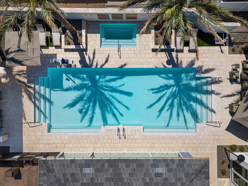 A swimming pool surrounded by palm trees.