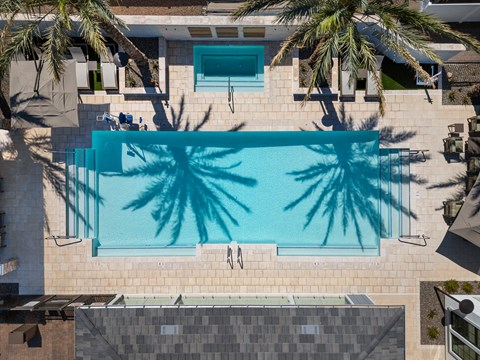 A swimming pool surrounded by palm trees.