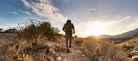 a person with a backpack walking on a dirt trail in the desert