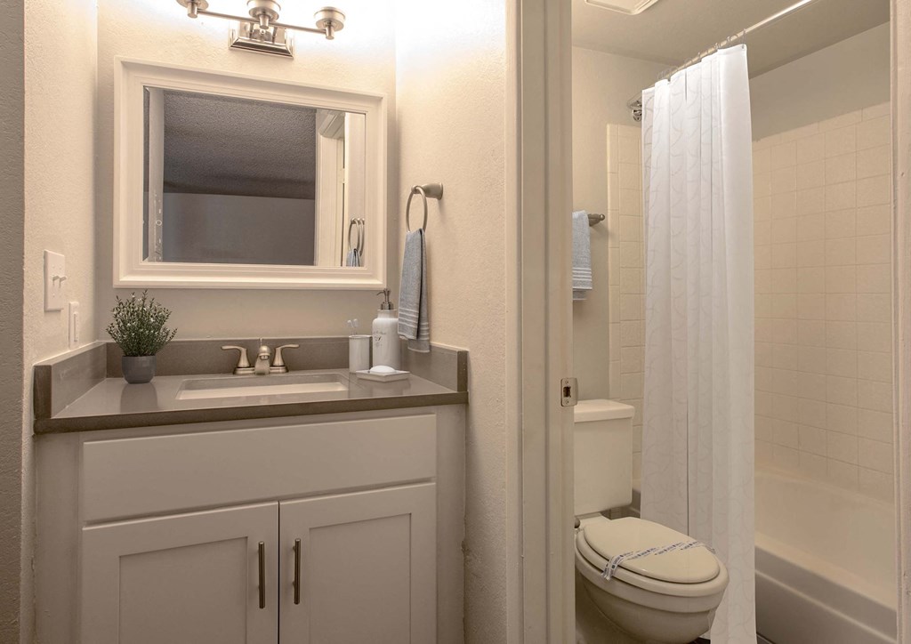 Studio Bathroom at The Link at 4th Ave Apartments in Tucson