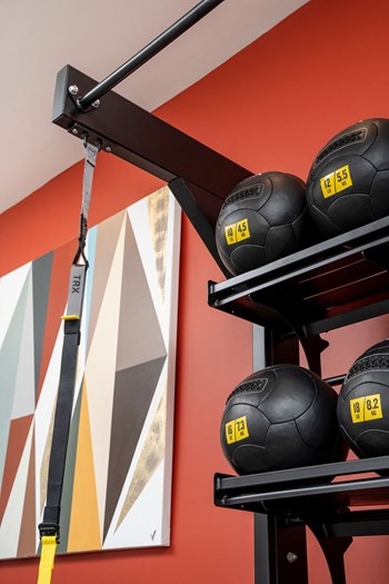 TRX Straps in Fitness Center - Photo Gallery 19