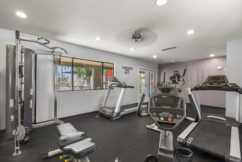 A gym with a treadmill, a stationary bike, and a weight machine.