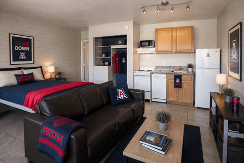 730 E Lee St. Studio-1 Apartment for Rent