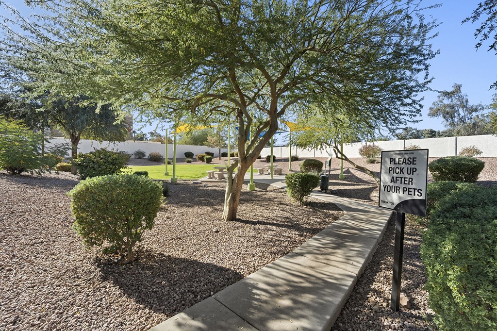 Walking Path and Bark Park at Haven at Towne Center in Glendale Arizona