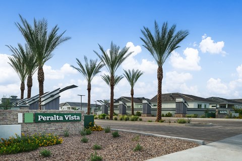 A row of palm trees in front of a sign that says Peralta Vista.