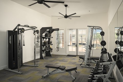 A well-equipped gym with a variety of exercise machines and weights.